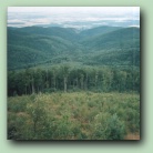 otwórz w nowym oknie