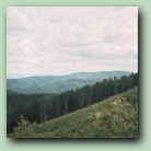 otwórz w nowym oknie